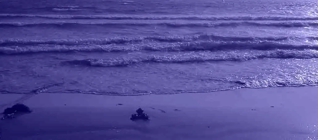 私の見た海の風景